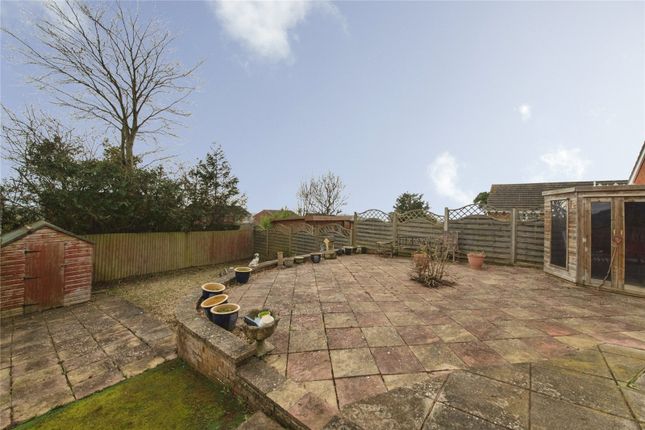 50, Ivydale, Devon photo 3