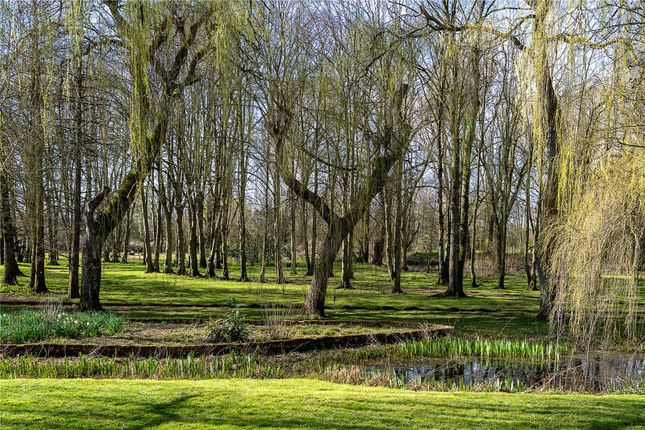 Grounds