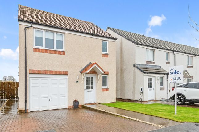 Thumbnail Detached house for sale in Rose Hip Crescent, Larbert