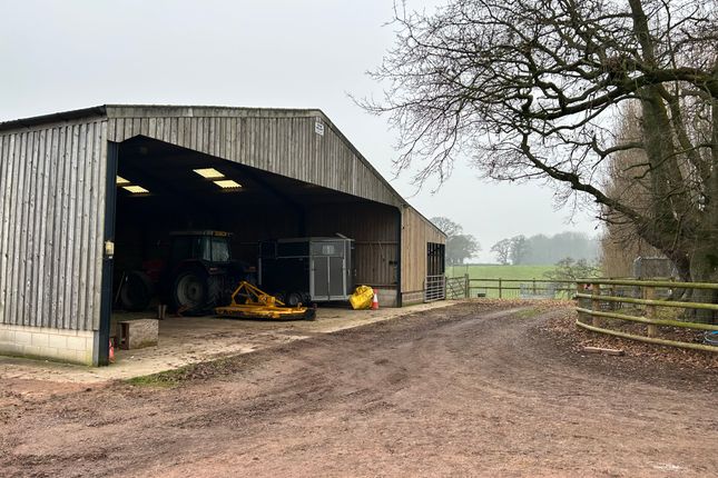 Industrial to let in Westleigh Willows, Feniton, Honiton