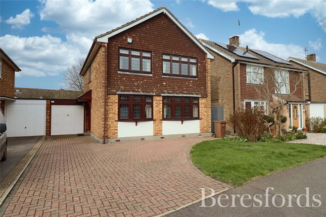 Thumbnail Detached house for sale in Long Brandocks, Writtle