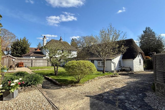 Appletree Cottage, 19 Ringwood Road, Verwood photo 2