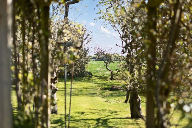 Byways Wellsfield, Chichester photo 2
