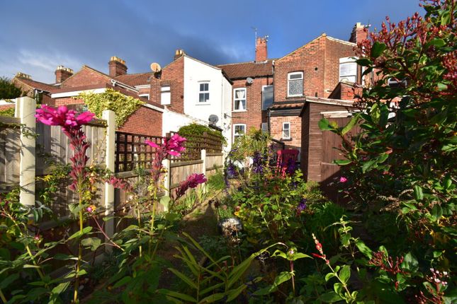 Thumbnail Terraced house for sale in Wodehouse Street, Norwich