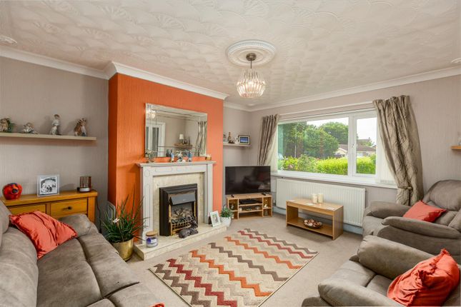 28, Caegar, Llanelli photo 2
