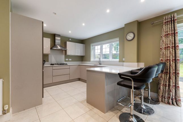 18, Wadebridge Rise, Medstead photo 4