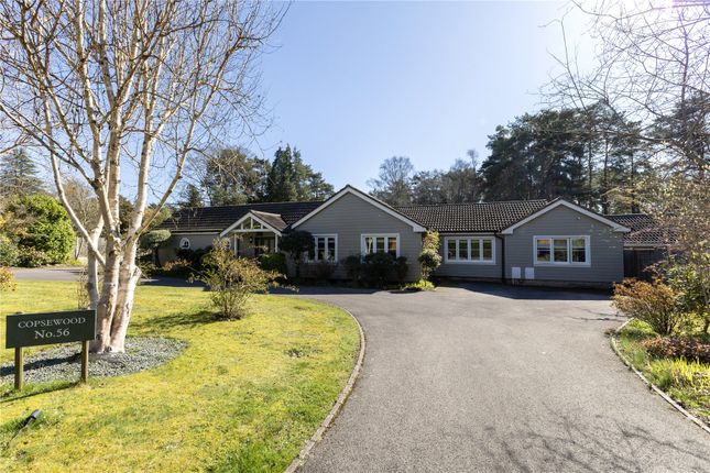 5-bed house on Copse Wood, 56, Kingswood Firs, Hindhead, £1,850,000