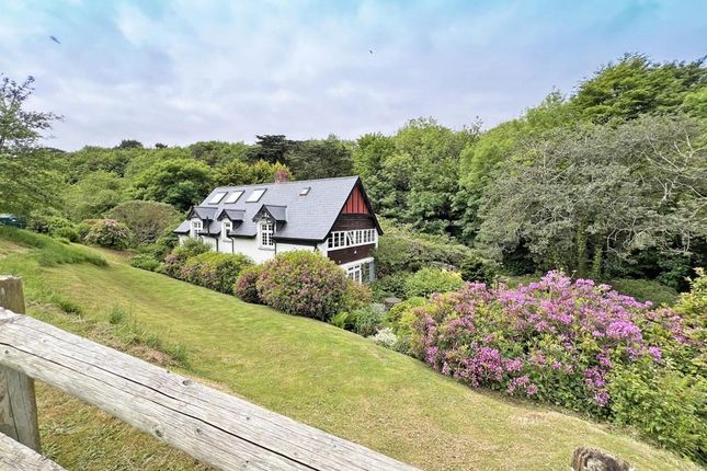 Thumbnail Detached house for sale in Bossiney, Nr. Tintagel, Cornwall