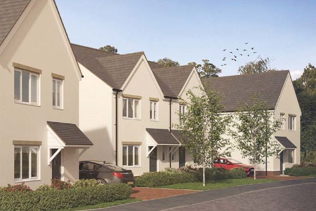 Thumbnail Property for sale in "The Pinewood" at Forton Road, Chard