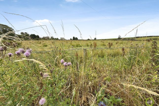 The Hollies Heys Lane, Darwen photo 2