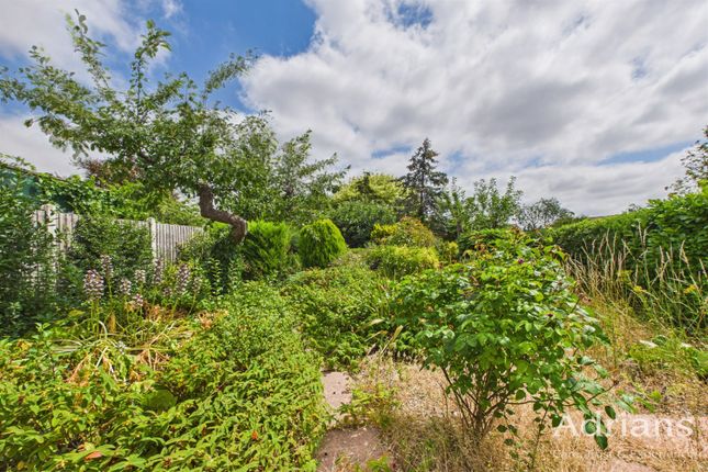 17, Sunrise Avenue, Chelmsford photo 4