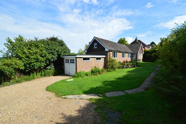 Thumbnail Detached bungalow to rent in Church Road, Rotherfield, Crowborough