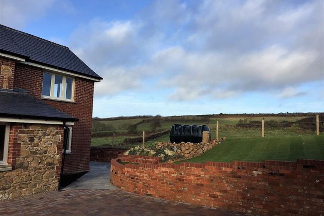 Detached house to rent in Sandy Way, Shorwell, Newport