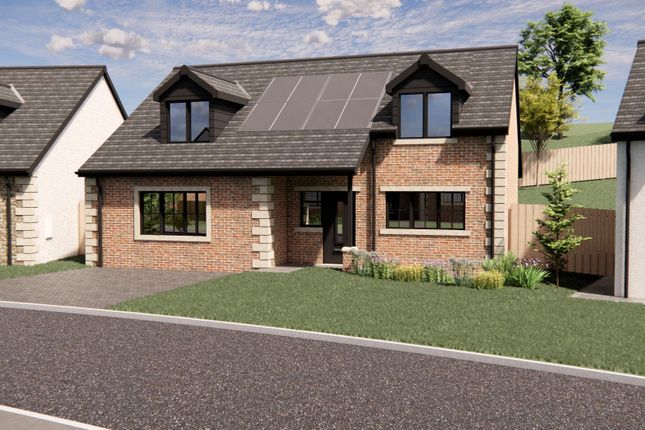 Plot 21