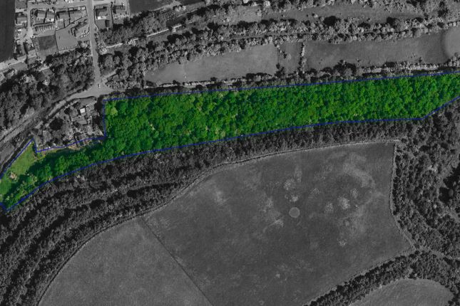 3, Tinglebridge, Barnsley photo 2