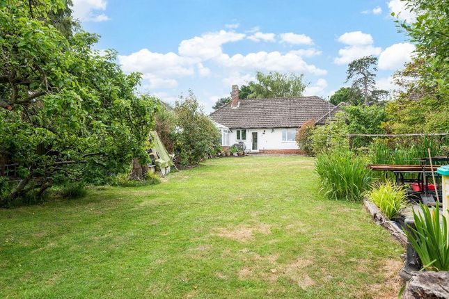 Detached bungalow for sale in Mada Road, Orpington, Kent
