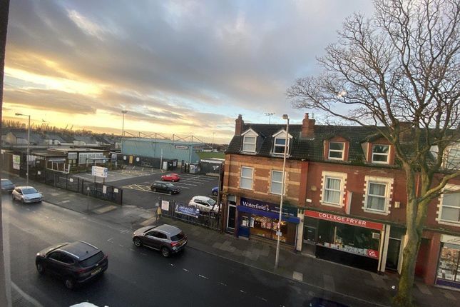 Thumbnail_Img_6023 - Copy (1).Jpg