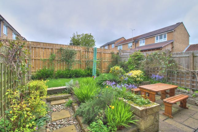 43, Arkle Court, Alnwick photo 4