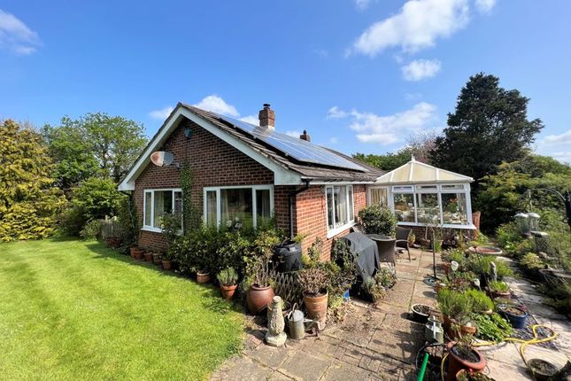 Detached bungalow for sale in Bilsington, Ashford