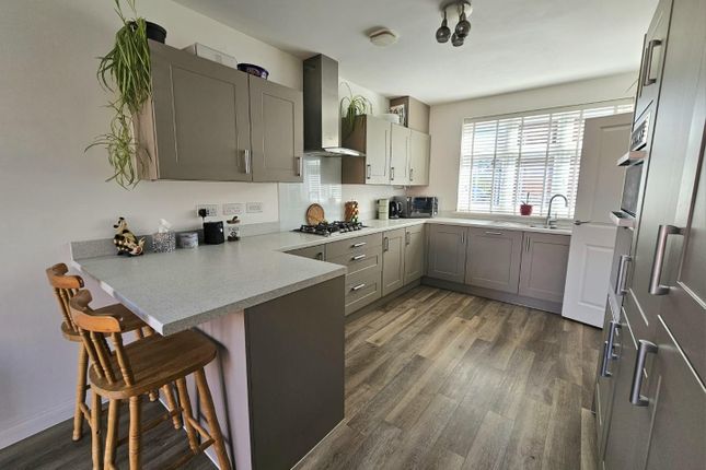 2, Eddy Croft, Cam photo 4