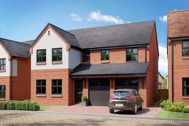 Thumbnail Detached house for sale in "The Fenchurch" at Ann Strutt Close, Hadleigh, Ipswich