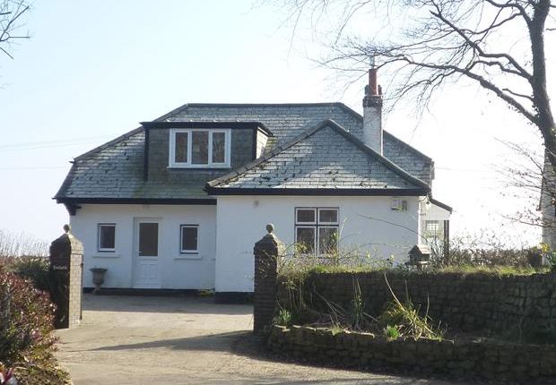 Thumbnail Detached bungalow to rent in Willsworthy, North Tamerton