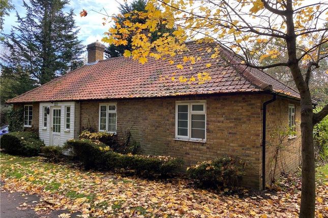 Detached bungalow for sale in Steep Hill, Chobham, Woking