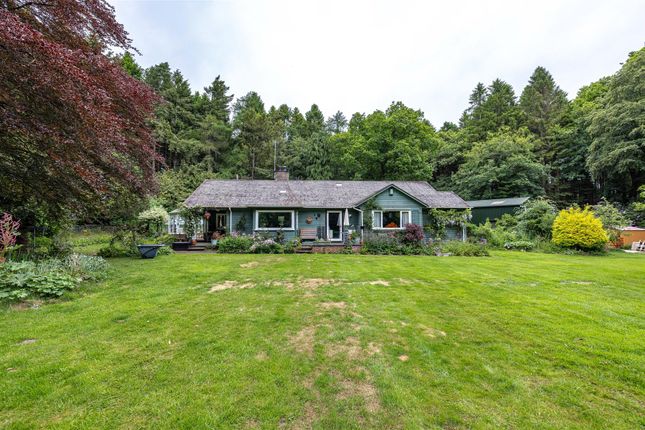 Cedar Lodge, Bucklands, Hawick photo 3