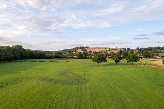 Cullompton, Devon photo 2