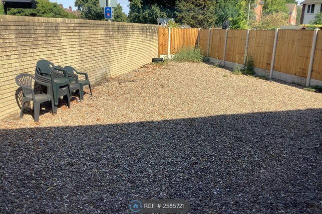 Back Garden