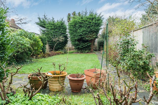 Garden (2)
