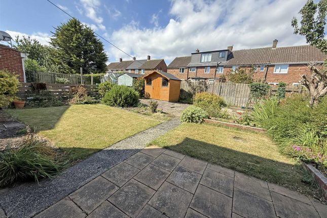 Back Garden.Jpg
