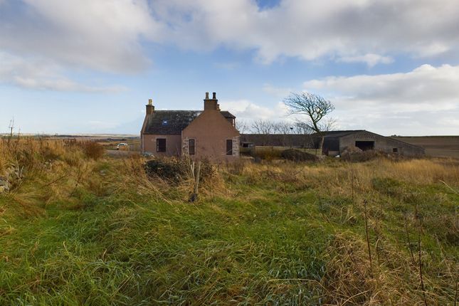 Cottage for sale in South Mains Of Ardiffery Farmhouse, Peterhead