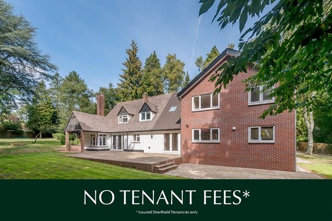 Houses To Let In Barnes Close Honiton Ex14 Homes To Rent In