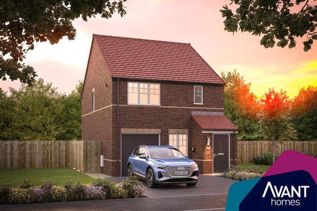 Thumbnail Detached house for sale in "The Oakwood" at Land Off Round Hill Avenue, Ingleby Barwick