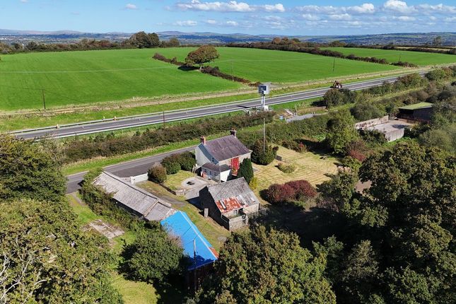 Trefangor Farm, Llanddewi Velfrey, Narberth photo 4