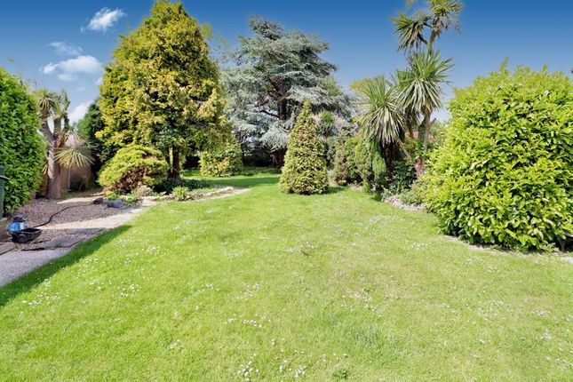 Tanglyn, Rush Green Road, Clacton-On-Sea photo 2