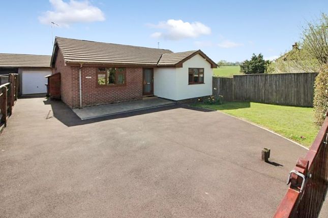 Thumbnail Detached bungalow for sale in New Road, Bream