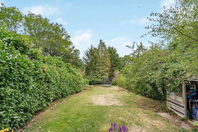 24, Wrecclesham Hill, Farnham photo 4