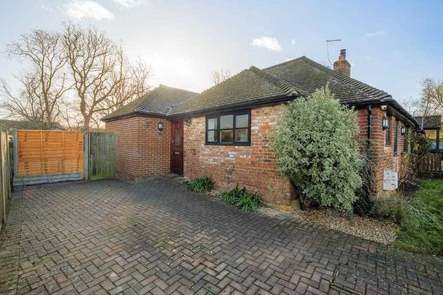 Thumbnail Bungalow to rent in Dargate Road, Yorkletts, Whitstable