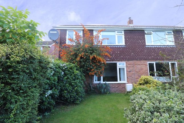 Thumbnail Semi-detached house to rent in St. Peters Way, Edgmond
