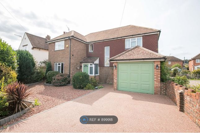 Detached house to rent in Green Lane, Godalming