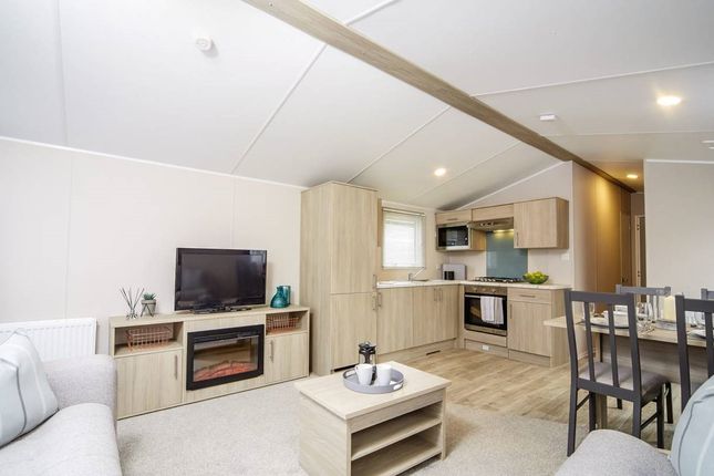 Brand New Atlas Festival,, Country Holiday Parks Ltd, Preston photo 3