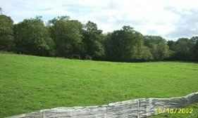 Land for sale in Cotton Row, Holmbury St. Mary, Dorking