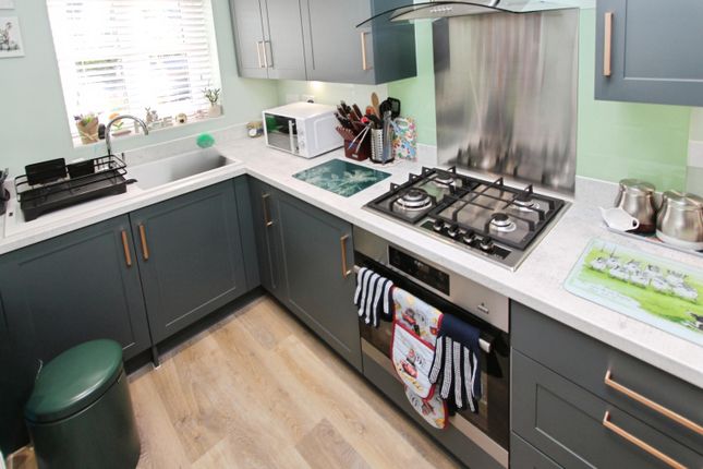 14, Hollis Close, Stapleford photo 4