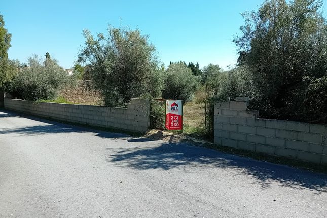 Thumbnail Land for sale in Castelo Branco, Castelo Branco (City), Castelo Branco, Central Portugal