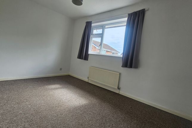 18, Preston photo 5