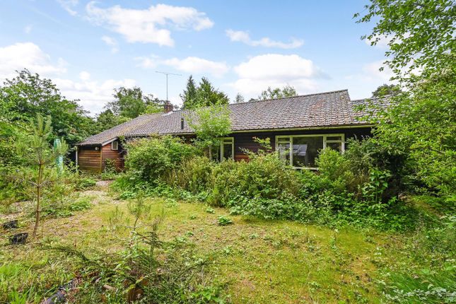 Thumbnail Bungalow for sale in Kingswood Firs, Grayshott, Hindhead, Hampshire