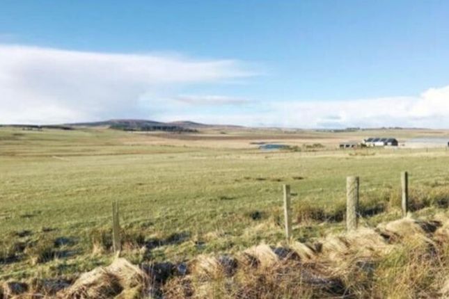 Land for sale in Scotscalder, Halkirk