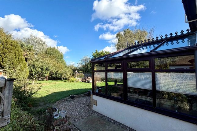 Well Cottage,, Silver Street, Somerset photo 4